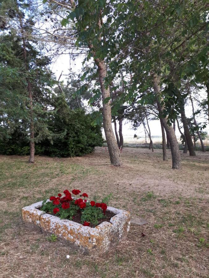 Il Casale Falagario Stacca Villa Altamura Exterior foto